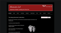 Desktop Screenshot of hansmannlab.com