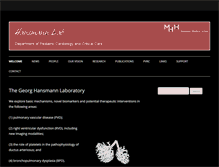 Tablet Screenshot of hansmannlab.com